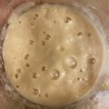 Makki203's cooksnap of when they made ホシノ天然酵母の起こし方～ホシノ生種～.
