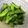 ひっこ's cooksnap of when they made 枝豆の茹で方.