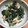 みみふぁん's cooksnap of when they made ささみとほうれん草チーズ和え.