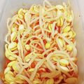 ブランシュkuu's cooksnap of when they made ＊キムチの素で！豆もやしのキムチナムル＊.