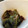 まみお✳'s cooksnap of when they made しし唐のくたくた煮.