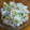 シュウちゃんのママ's cooksnap of when they made 茗荷とあげの混ぜご飯.