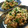 うにょケロ's cooksnap of when they made 中華の定番！？男のにらもやし炒め.