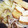 ブランシュkuu's cooksnap of when they made 春キャベツと厚揚げのサっと煮.