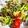 クック219VGU☆'s cooksnap of when they made コンビニ再現！バジルサラダ！.