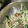 うさぎのハニー's cooksnap of when they made きゅうりとカニかまのマヨ和え.