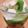 かぉ。's cooksnap of when they made 七夕にも☆簡単フルーツポンチ.
