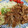 hitocchi's cooksnap of when they made ご飯が進む簡単絶品生姜焼き.