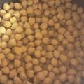 ちゃろみん's cooksnap of when they made ひよこ豆を炊飯器で茹でる.