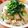 milk55's cooksnap of when they made サッパリ！きゅうり、ガリ、ツナの混ぜご飯.