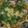 クックP0LA7J☆'s cooksnap of when they made モロヘイヤとシイタケの卵とじ和風スープ.