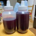 るぅ・x・'s cooksnap of when they made 赤紫蘇はちみつりんご酢ジュース.