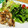 toshi♫'s cooksnap of when they made 父の週末料理　鶏肉のマキシマム焼き.