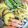 keroko27's cooksnap of when they made 四角豆の天ぷら　簡単で一番おいしい食べ方.