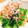 Emihann's cooksnap of when they made 小松菜のおかか和え.
