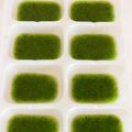 ぴん♩'s cooksnap of when they made ブロッコリー ペースト* 離乳食初期.