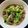 ＭＩ−ＳＡＮ's cooksnap of when they made オクラとしめじのおひたし.