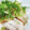 あさりん☆とねこ's cooksnap of when they made 簡単よだれ鶏.