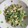 ナオコ6960's cooksnap of when they made ささげとちくわのめんつゆわさびマヨ和え.