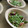 たべものにっき　tabemono's cooksnap of when they made とまらない★水菜の和風サラダ.