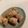 もきちもんきー's cooksnap of when they made ちくわとチーズの豚肉巻き.