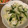 えりすけ◡̈⃝'s cooksnap of when they made キャベツときゅうりとわかめのごま和え.