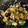 めんtoro's cooksnap of when they made しみしみナスと豚肉の中華ダレ炒め.