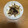 クックchitann's cooksnap of when they made しめじのバター焼き with 塩昆布.