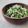 クック3539PY☆'s cooksnap of when they made 《水菜》鉄分強化サラダ.
