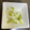 クックH86AFM☆'s cooksnap of when they made はちみつ×酢×生姜でゴーヤのさっぱり漬け.