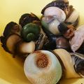 yukoko☆'s cooksnap of when they made 茹でサザエを簡単に取る裏ワザ(*‾艸‾).