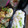 ひっこ's cooksnap of when they made 簡単！新生姜と釜揚げしらすの混ぜご飯.
