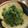 へのへのもへの's cooksnap of when they made 簡単小鉢　三つ葉の胡麻和え.