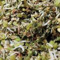 synapse66's cooksnap of when they made 酸味の出た野沢菜漬けで簡単ふりかけ.