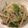 ベティ３'s cooksnap of when they made 豚肉・もやし・ピーマンペペロンチーノ炒め.