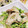 ちょちょこ✫'s cooksnap of when they made 豆苗とちくわの柚子胡椒マヨぽんサラダ.