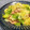 ☆のん☆☆'s cooksnap of when they made 甘辛♡豚こまレタスのオイスターソース炒め.