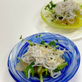 ルぴあ's cooksnap of when they made 超簡単 釜揚げしらすのポン酢小鉢.