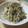 えみんちゅ＊'s cooksnap of when they made 簡単☆もやしと高菜漬けとツナの炒め物♪.