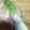 おやんず's cooksnap of when they made アスパラを日持ちさせる！(保存).