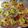 クックCN4W1S☆'s cooksnap of when they made 春スイーツ♪さつまいもの蒸しパン.