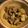 ぶう花's cooksnap of when they made トンジャガピーの味噌炒め.