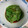くーー〜's cooksnap of when they made 簡単♡ピーマンの焼き浸し♪大量消費.
