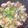 まりりん's cooksnap of when they made 濃厚　あさりの酒蒸し.