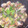 まりりん's cooksnap of when they made 濃厚　あさりの酒蒸し.