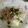クック5JVRUQ☆'s cooksnap of when they made 梅豚オガタ豆腐.