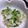 ちたんまきたん's cooksnap of when they made 青森産帆立ひもde簡単ナムル.