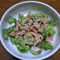りー君グランマ's cooksnap of when they made ゴーヤとツナのサラダ☆セブン風☆.