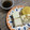 みりん調味料's cooksnap of when they made キウイの切り方.