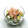 クックDAD's cooksnap of when they made 大根と胡瓜の浅漬け★.